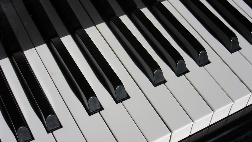 Profile image of Stuart & Fraser McLean Duo