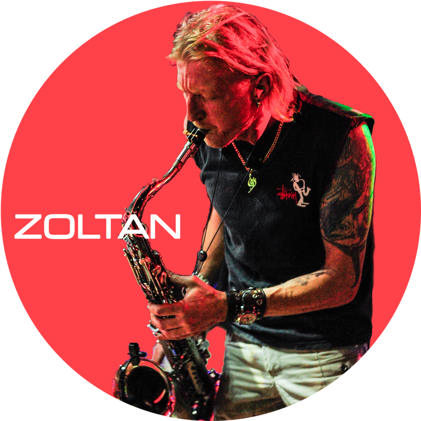 Profile image of Zoltan Budimcevic