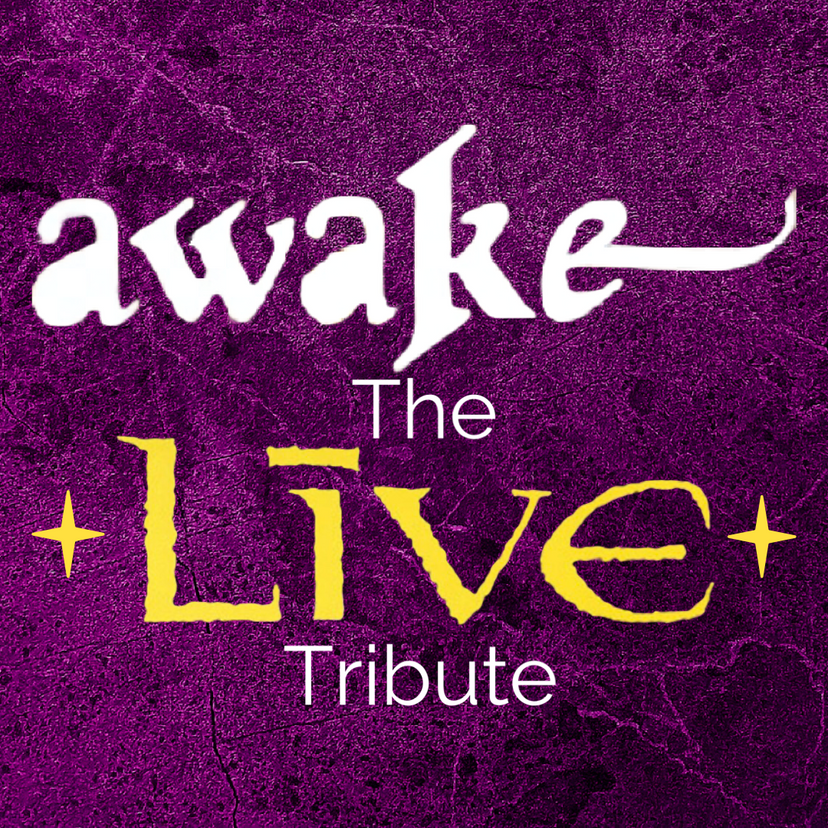 Profile image of awake - A Tribute to +Live+