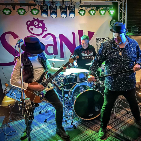 Profile image of Spank The Band