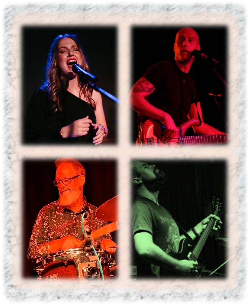 Profile image of Duality Band