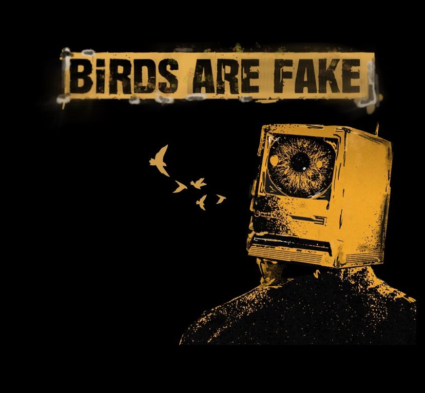 Profile image of Birds Are Fake