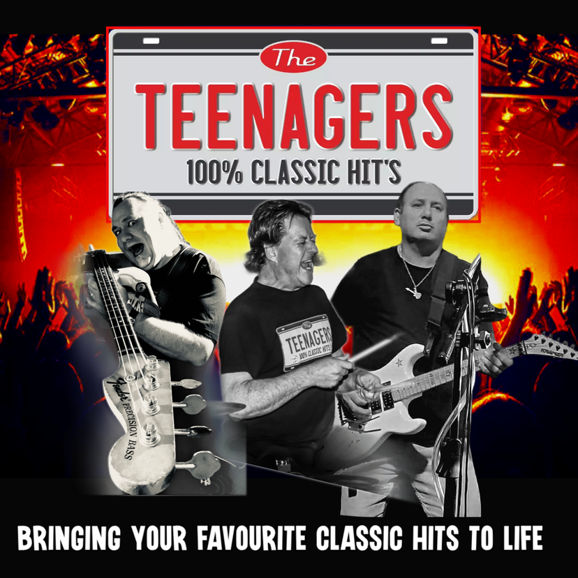 Profile image of The Teenagers