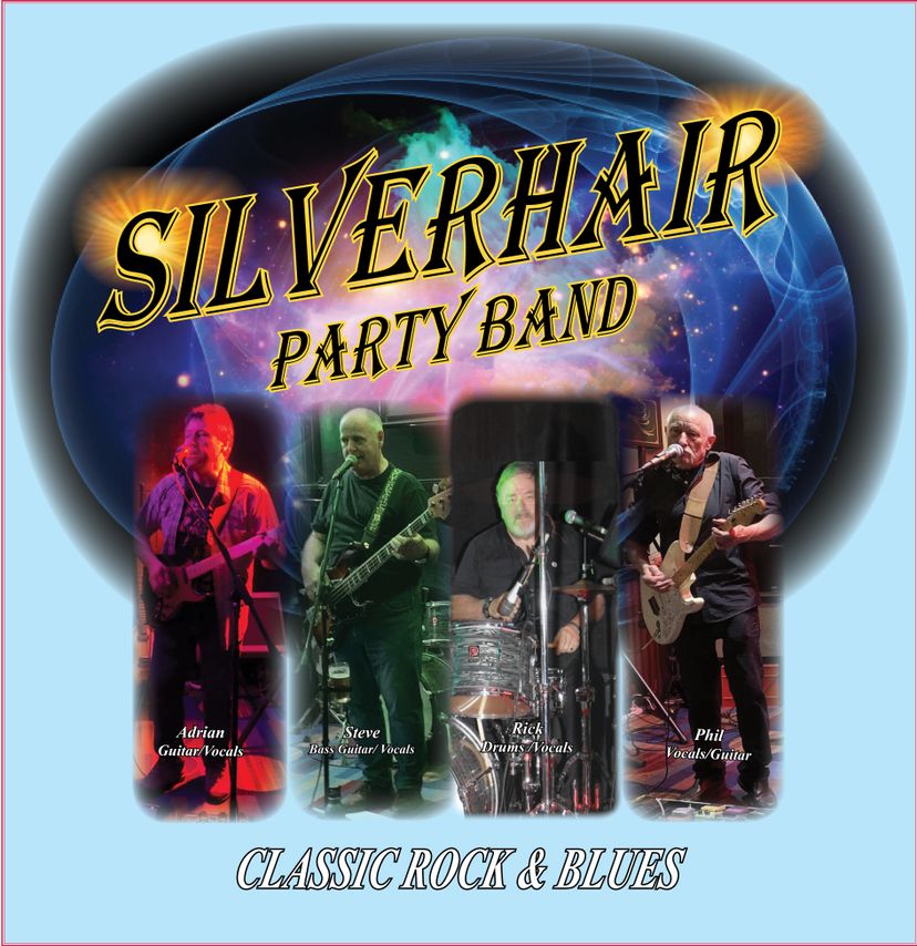 Profile image of Silverhair Party Band