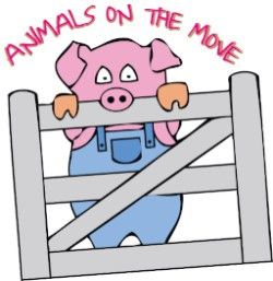 Profile image of Animals on the move