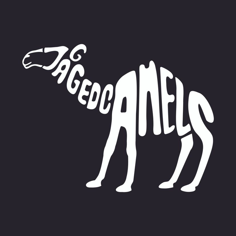 Profile image of Jagged Camels