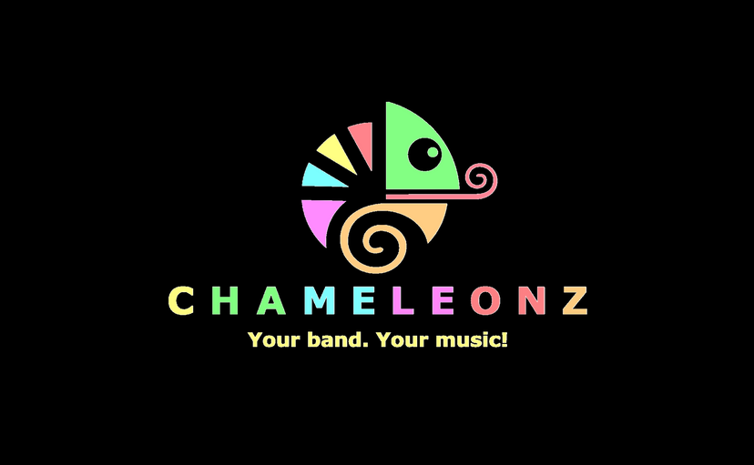 Profile image of The Chameleonz Band