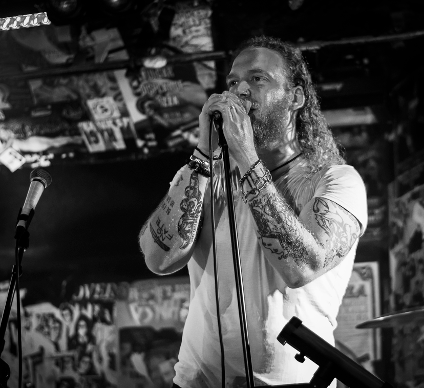 Profile image of Will Vaughan Music