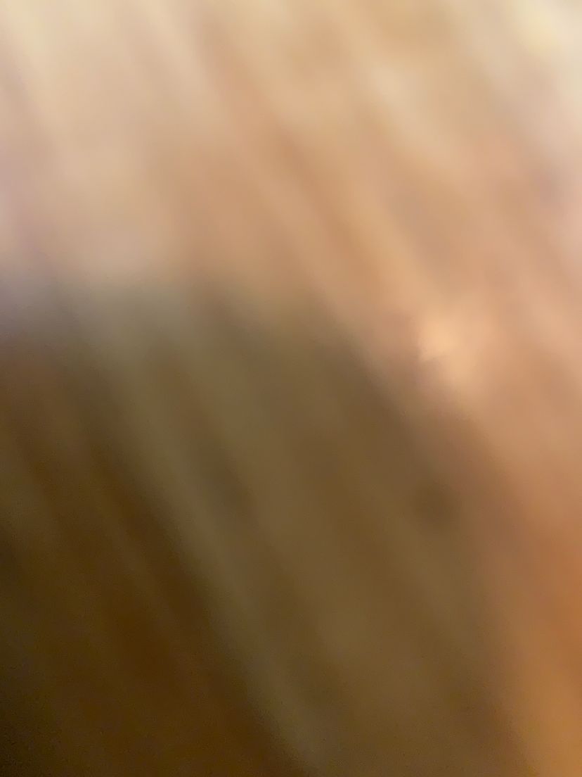 Profile image of Amy Sutherland