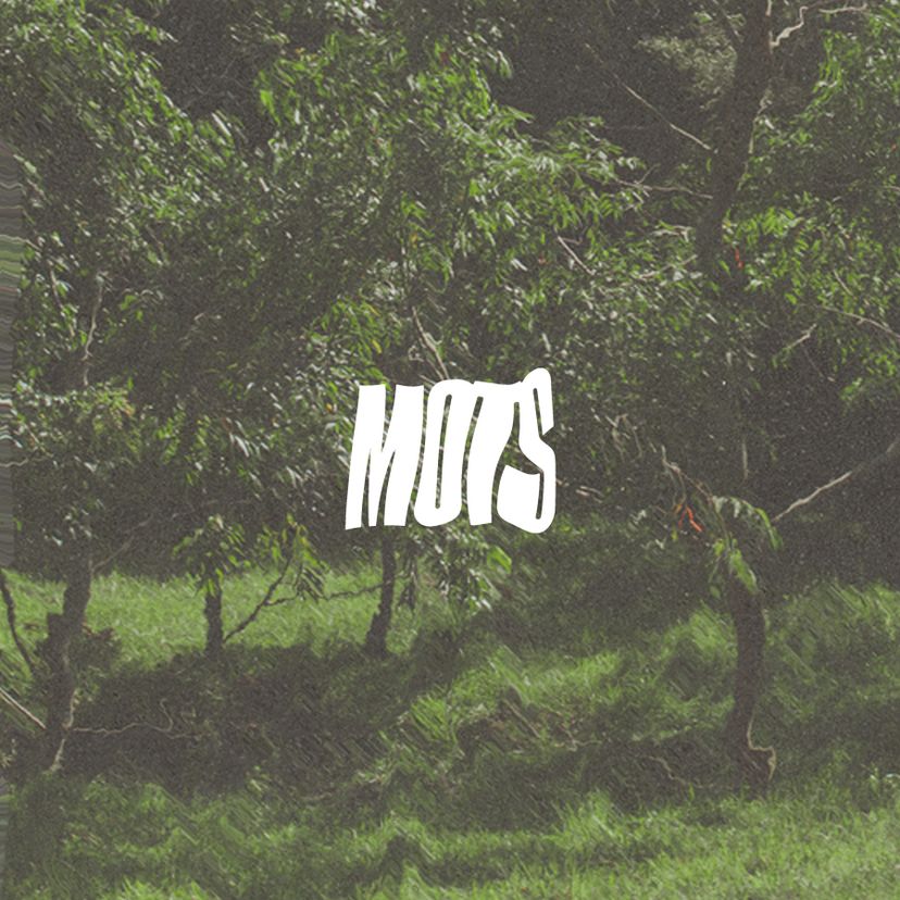 Profile image of Mots