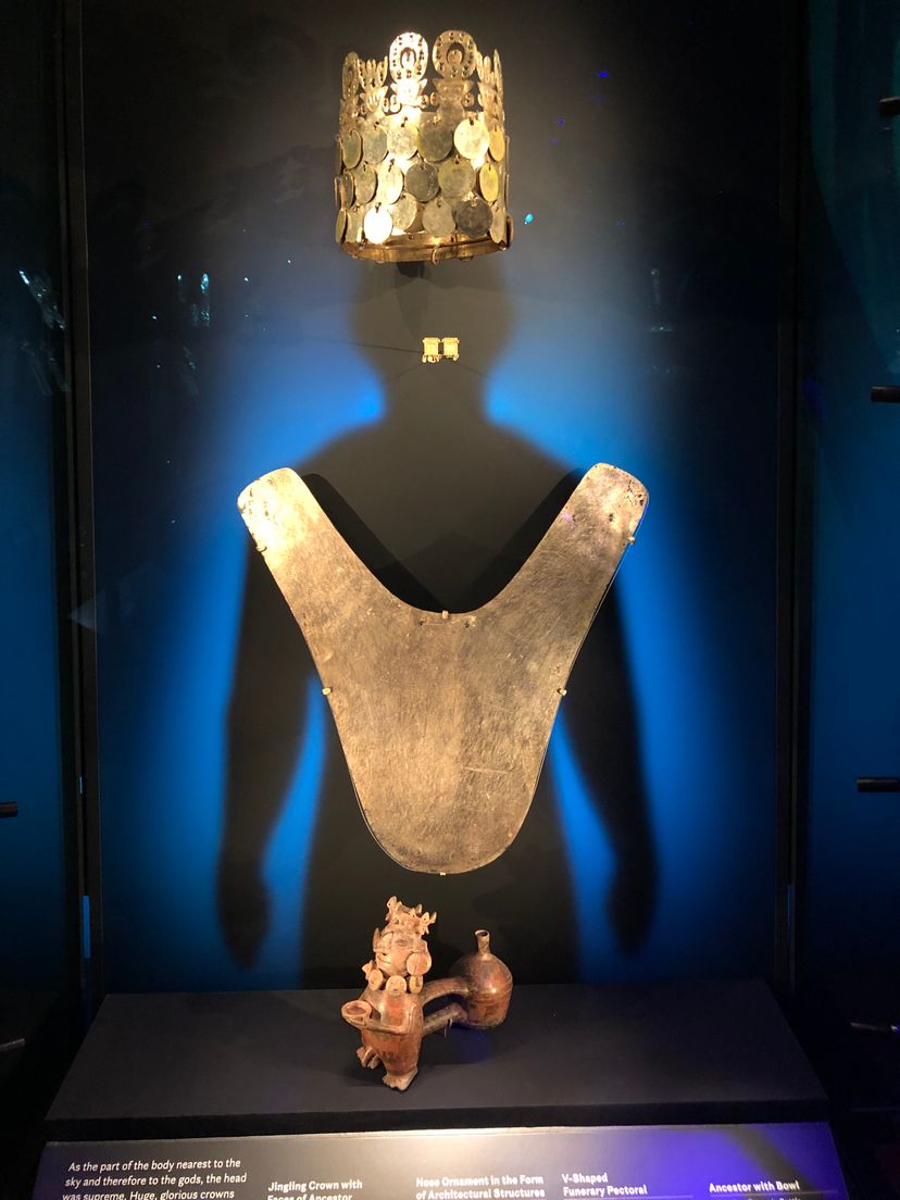 Profile image of Micheal Trovato