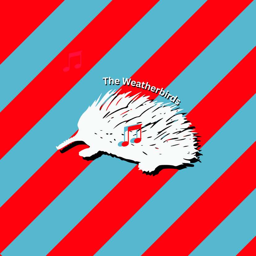 Profile image of The Weatherbirds
