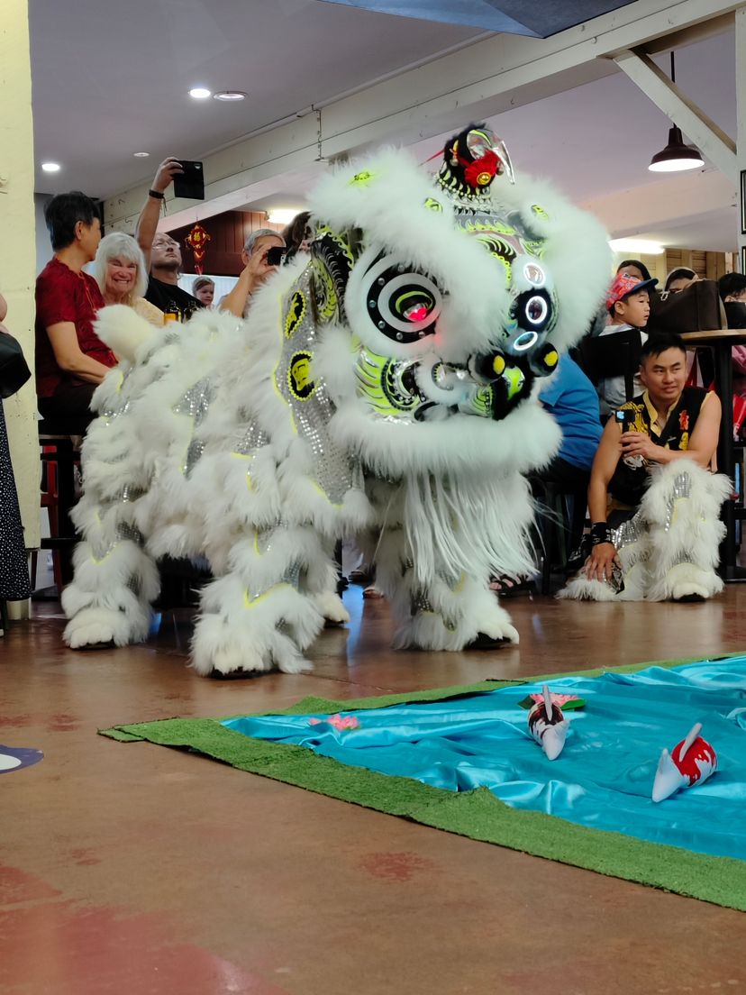 Profile image of Yaolin Kung Fu Association