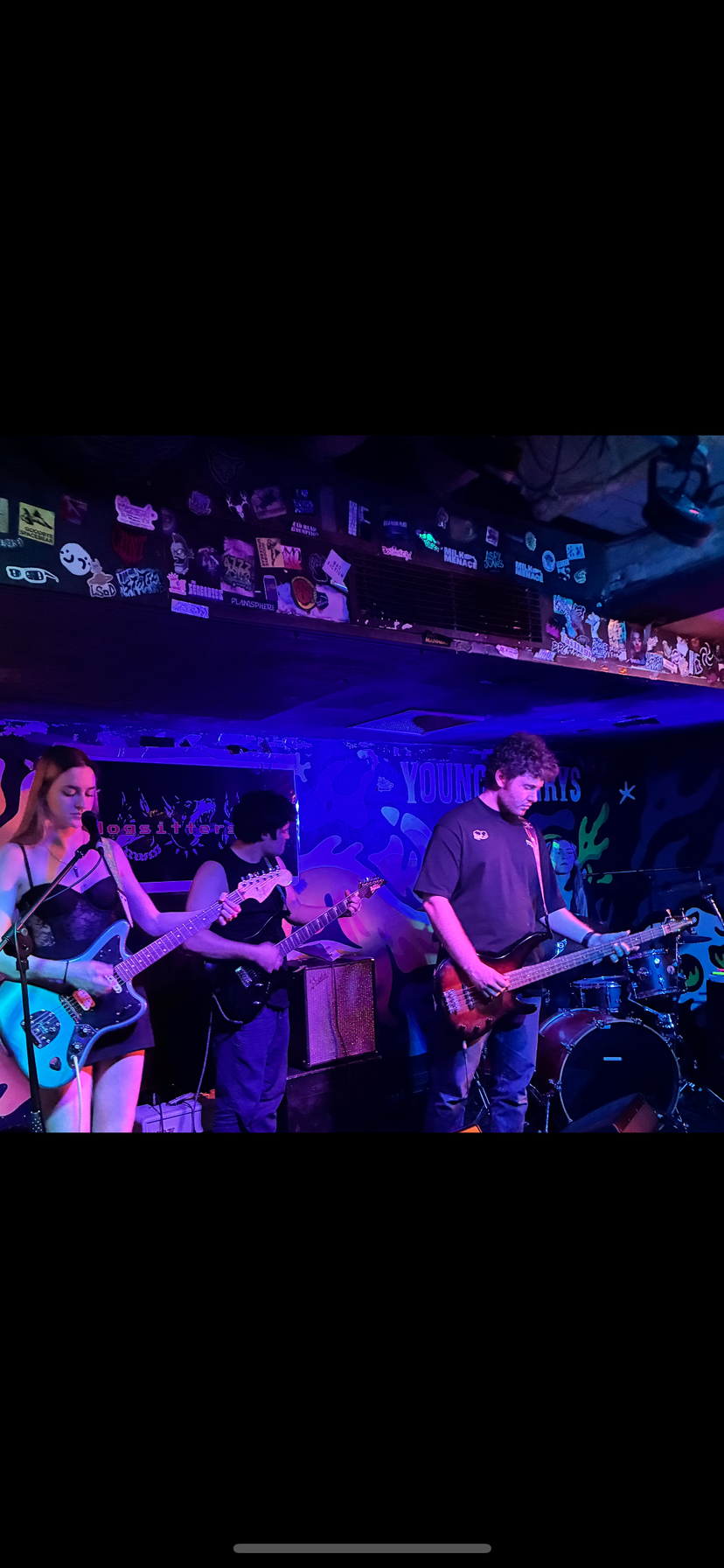 Profile image of Dog Sitters