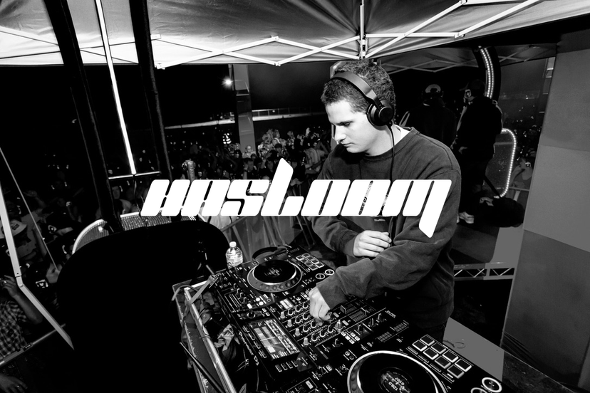 Profile image of Hasloom