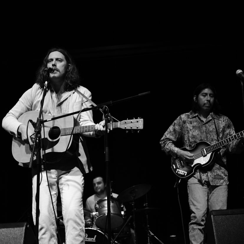 Profile image of Mick Procter