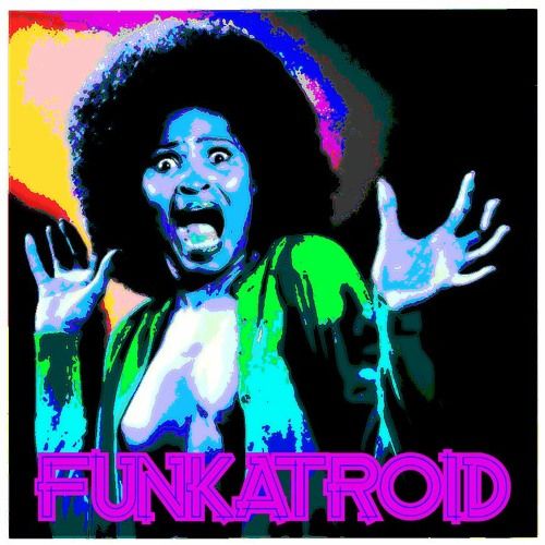 Profile image of Funkatroid