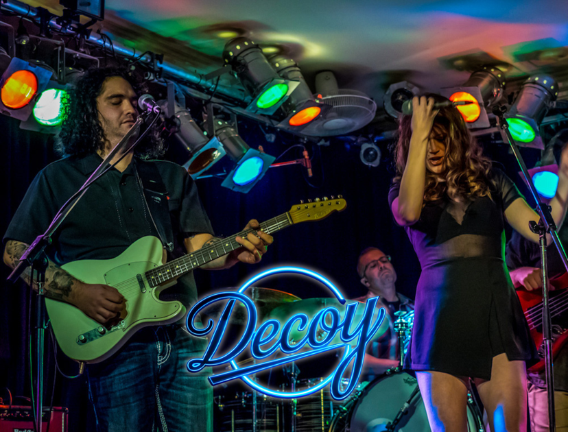 Profile image of Decoy Band/Duo