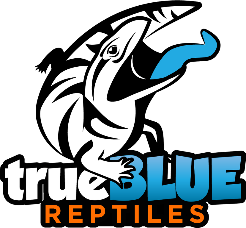 Profile image of True Blue Reptiles