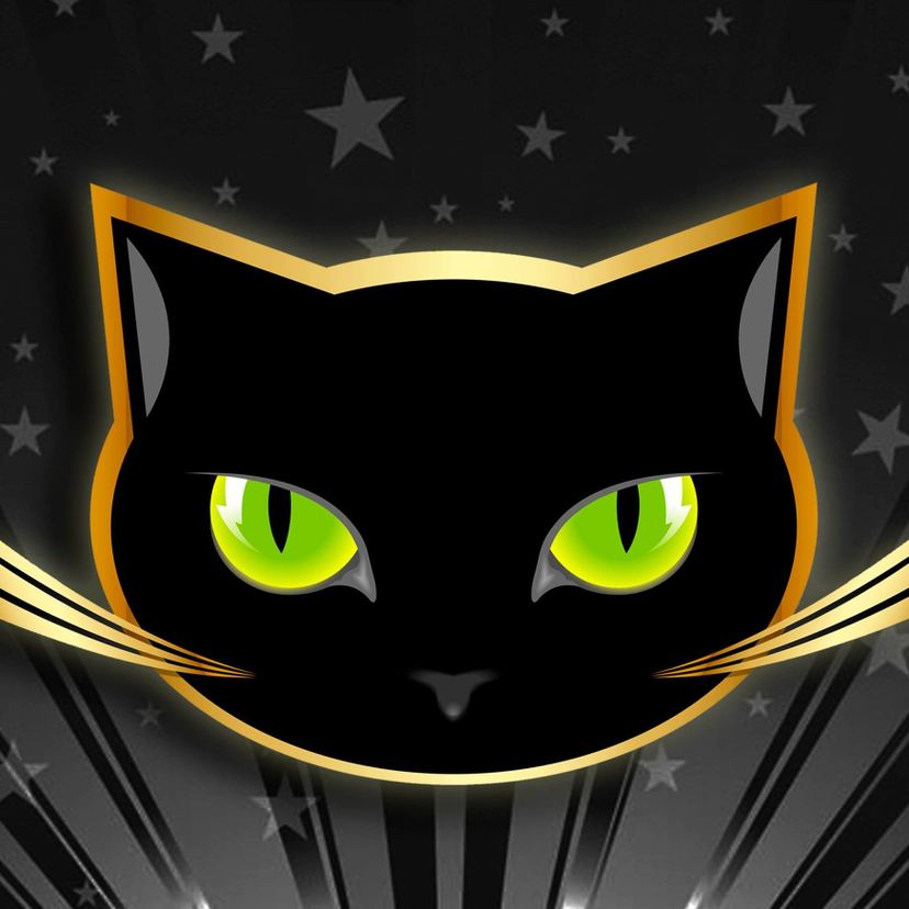 Profile image of Kopy Catz (W)