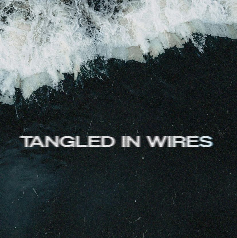Profile image of Tangled In Wires
