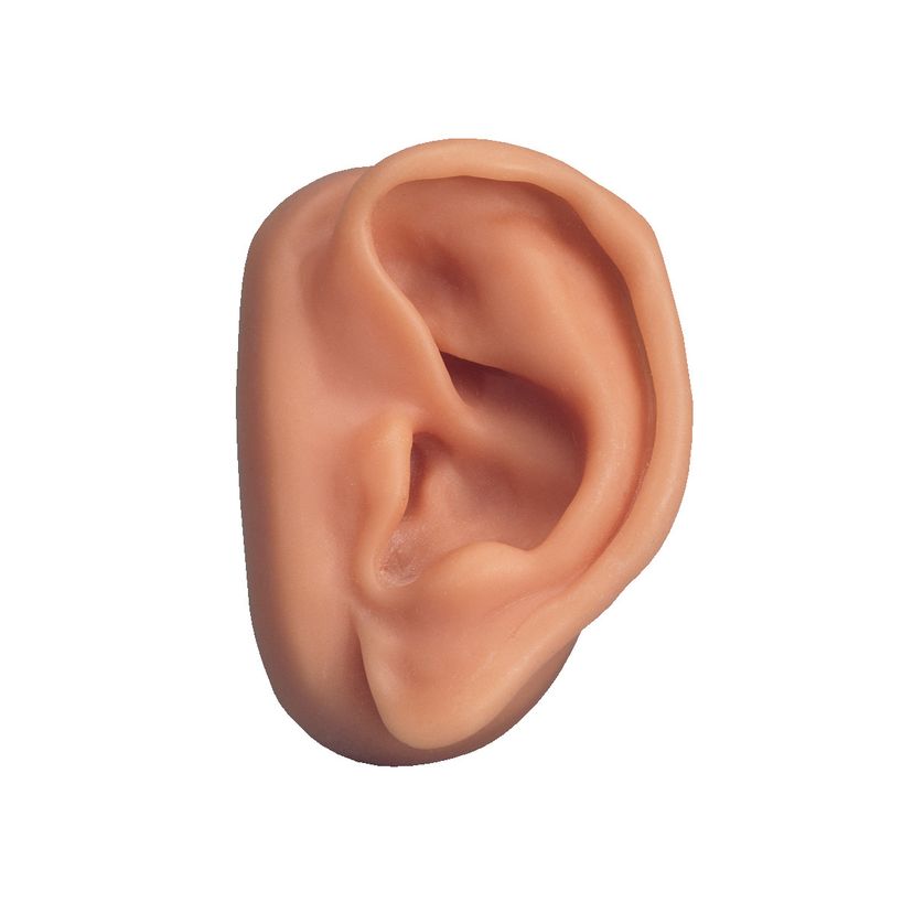 Profile image of Normal Pleasure