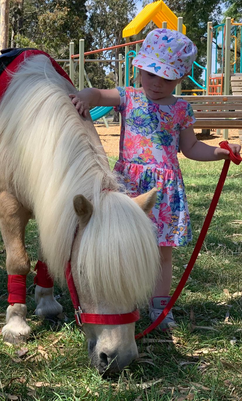 Profile image of Cora Lea Performance Ponies