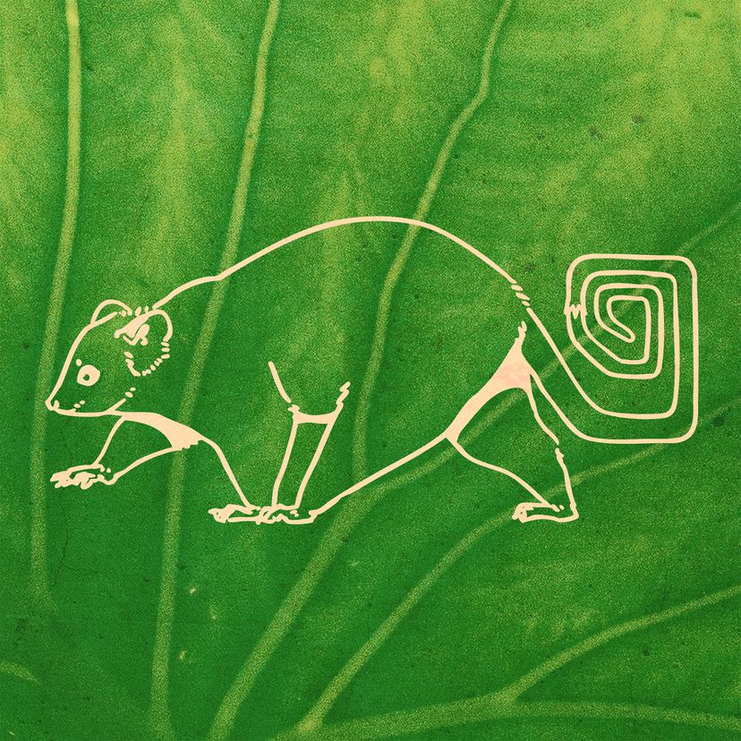 Profile image of Grove