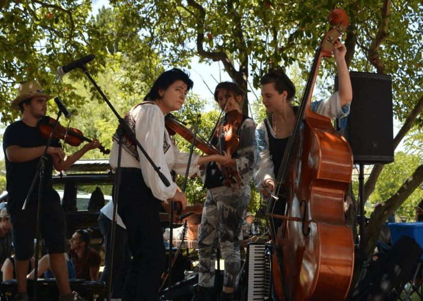 Profile image of Melbourne Folk Music Company