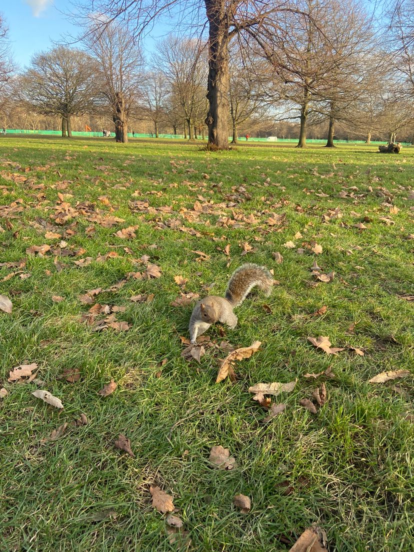 Profile image of Mtty