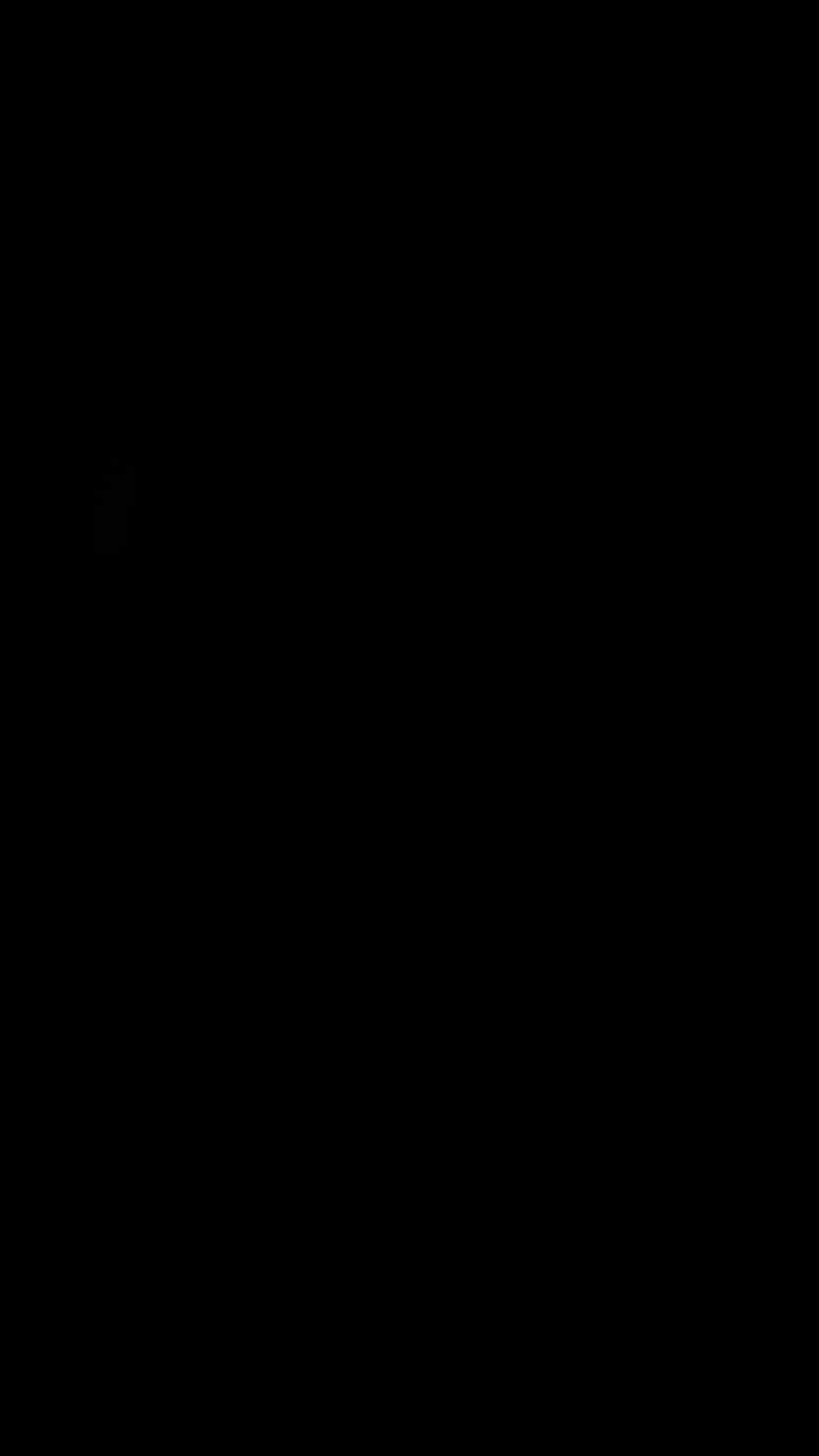 Profile image of ISSA