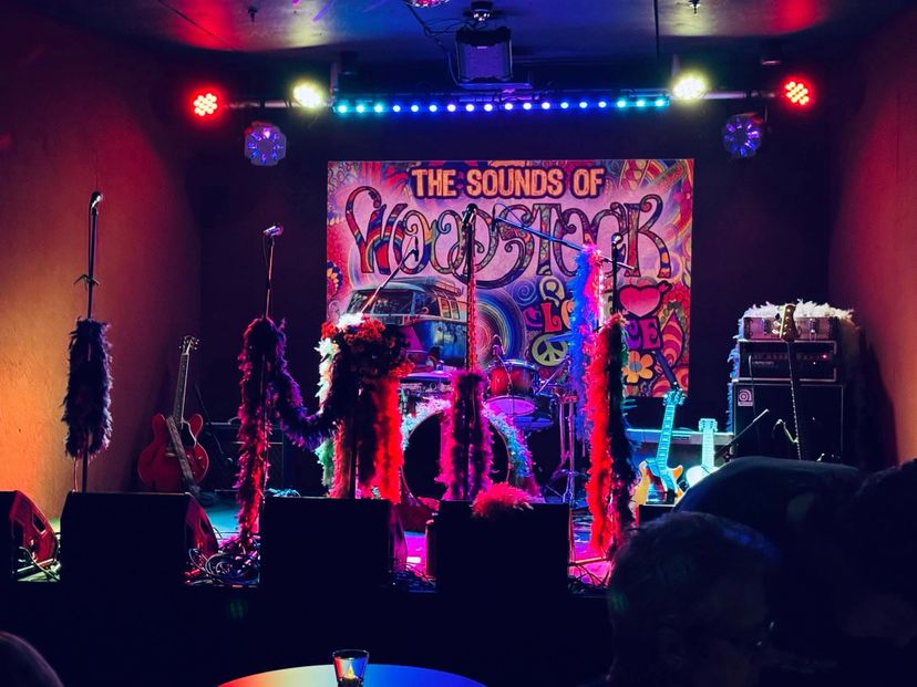 Profile image of The Sounds of Woodstock