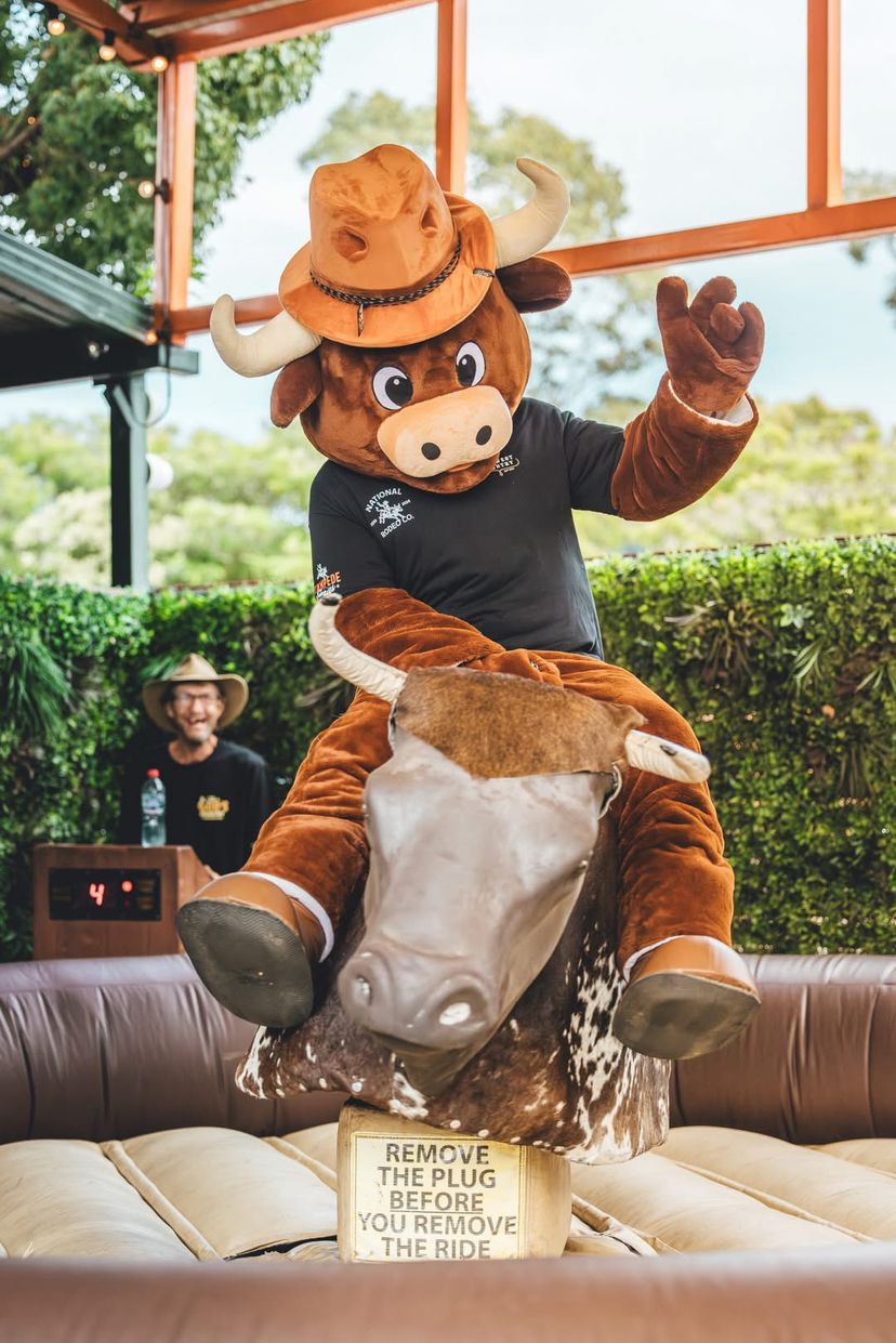 Profile image of Barry The Bull